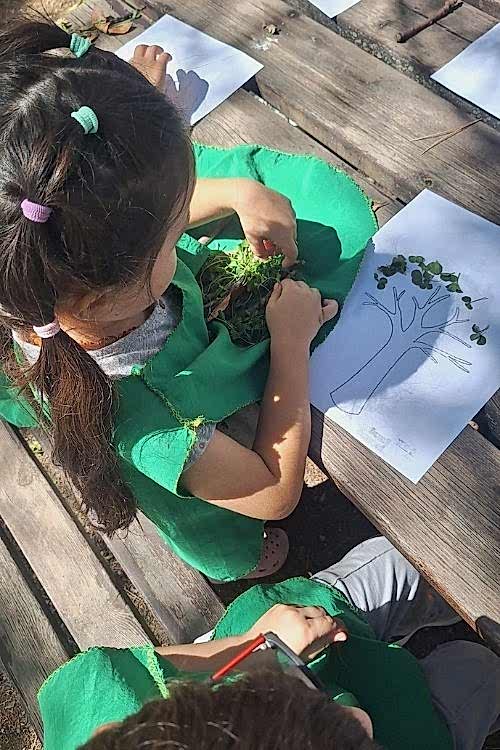 Özel Mavi Düşler Anaokulu